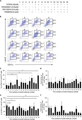 An optimized cocktail of small molecule inhibitors promotes the maturation of dendritic cells in GM-CSF mouse bone marrow culture